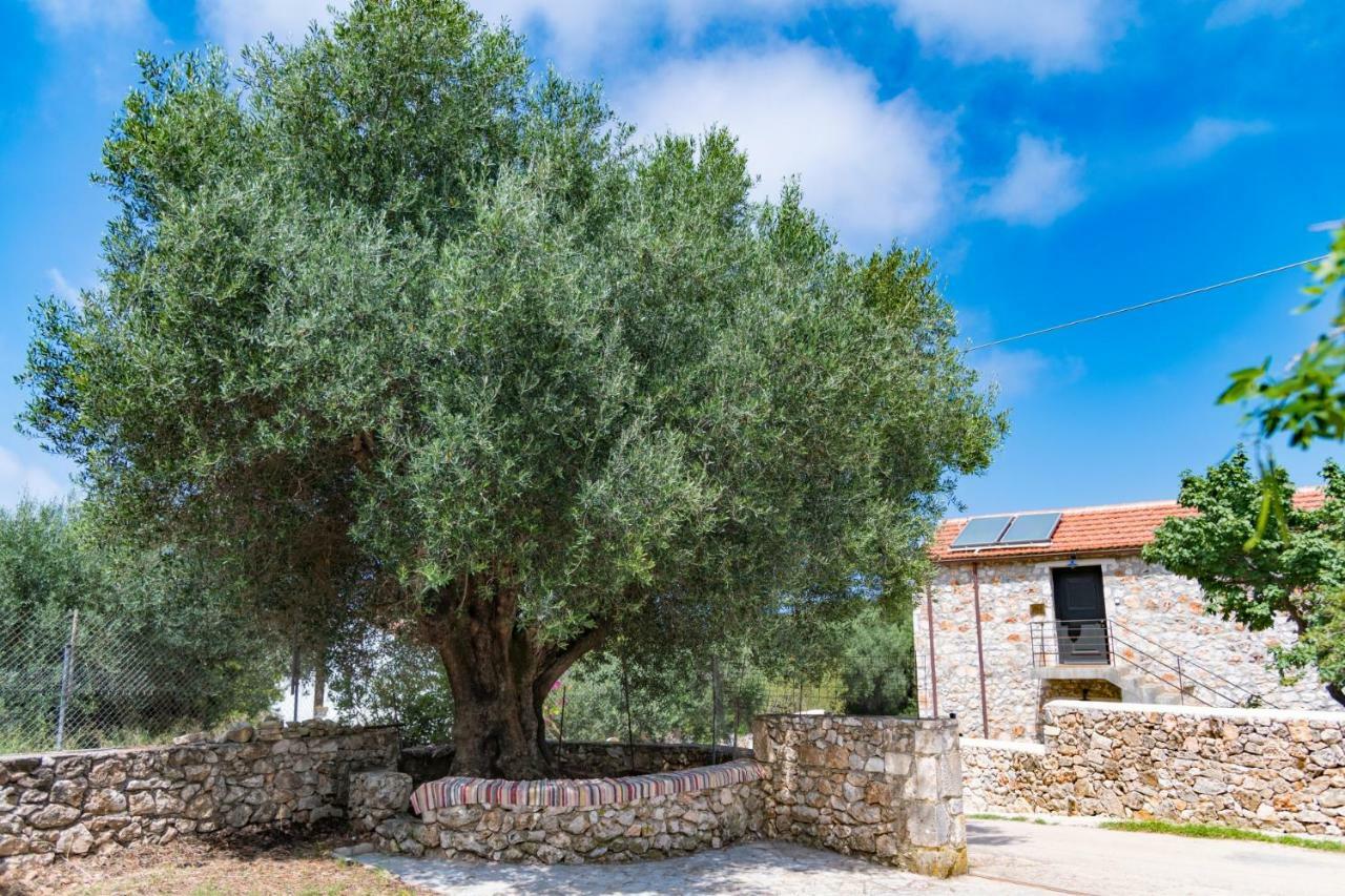 Private Villa Demetra 1768 With Pool - Close To Fiskardo Exterior foto