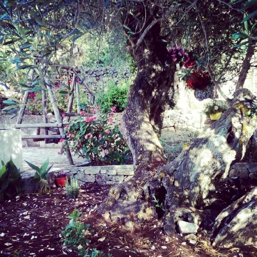 Private Villa Demetra 1768 With Pool - Close To Fiskardo Exterior foto
